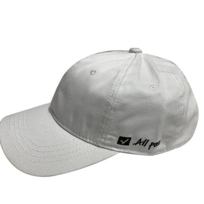 China 6-Panel Hat 2021 New Style Wholesale Embroidery Sports Baseball Cap for sale