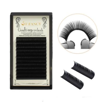 China FANTASY Natural Eyelash Extensions Long St FANTASY Wholesale Custom Private Label High Quality Individual Label for sale