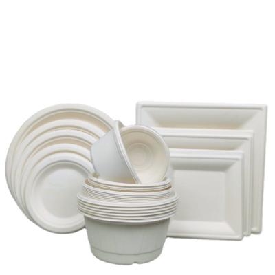 China New Style Environmental Degradable Salad Box Salad Meal Bowl Dish Tableware Takeout Compostable Dishes and Cutlery Wholesale for sale