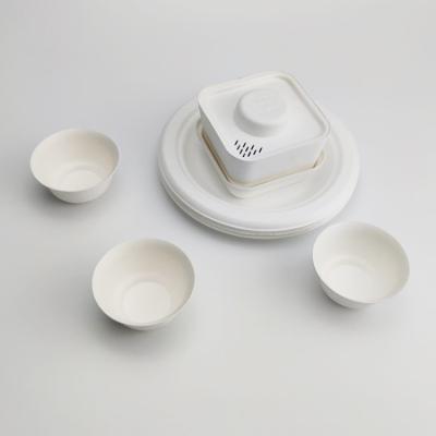 China Sustainable Disposable Bagasse Paper Biodegradable Sugar Cane Travel Tea Set Compostable Tea Party Teapot for sale