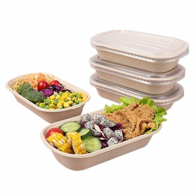 China New Style Wholesale Disposable Bento Light Food Box Tableware Degradable Outlet Take Out Salad Box Rice Fast Food Box for sale