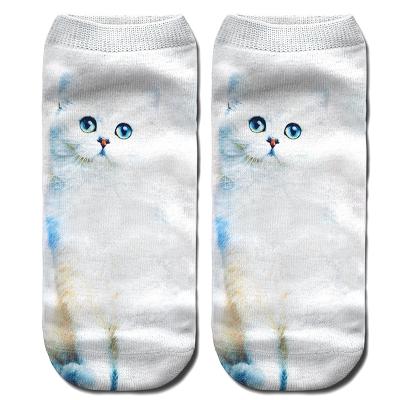 China Antibacterial 3d Printed Socks Fashion Design Men Women 3D Socks Sublimation Custom Printed Socks for sale