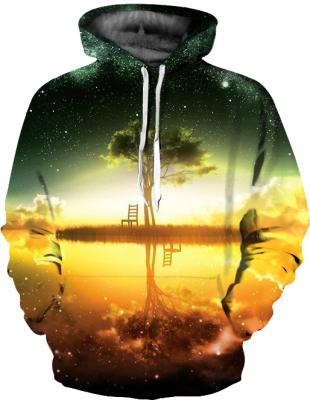 China Bulk Pullover Hoodies Sweatshirts Women's Hoodies Sweatshirts Anti-Shrink for sale