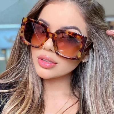 China Fashion Glasses I Vision T-100 Sunglasses for sale