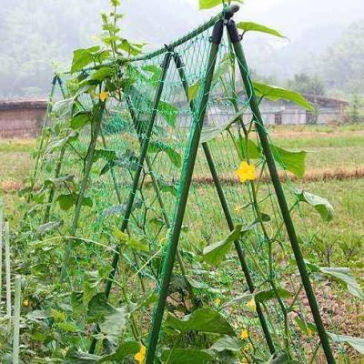 China Plastic Coated Steel Pipe Flower Supporter/Galanized Steel Structure Pipe Tunnel Round Greenhouse Pipe for sale