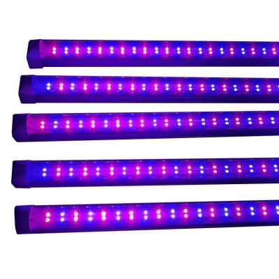 China Seed Starting t8 t5 4ft 5ft Red 660nm Blue Led Hydroponic Plant Growth Tube For Growing Light for sale