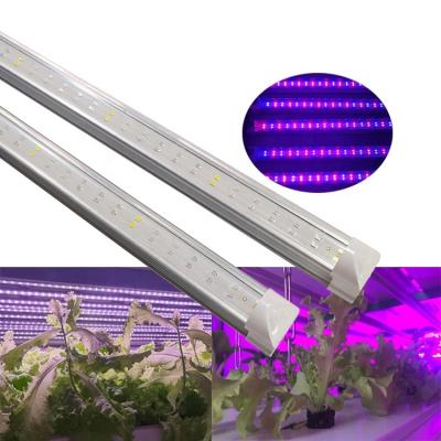 China seed starting c.p. high ppfd 20w 28W t8 660nm 3R/1B 3B/1R 7R/1B grow led tube grow light for sale