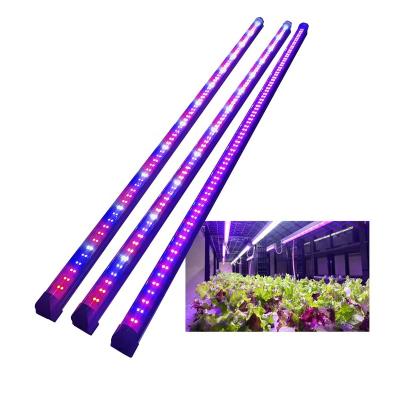 China Seed Starting 120cm 4ft 36w 48w t5 t8 Indoor Waterproof Horticulture Spectrum Full Led Plant Grow Tube Light For Lettuce Microgreens for sale