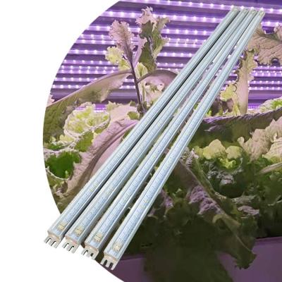 China Seed Seed Farming Vertical Agricultural Led Solar Spectrum Plant For Growing Light Strip for sale