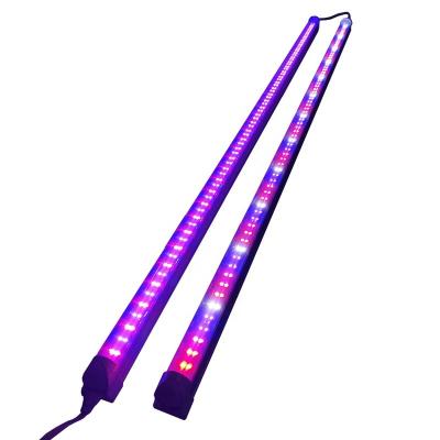 China Seed starting veg horticulturing hydroponic led strip to grow lights for hobbyist home cultivation for sale