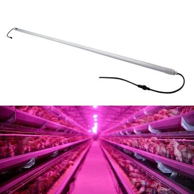 China Poultry 1500mm 1.2m DC48V 30w waterproof led tube light lamp for poultry farm pig shed for sale