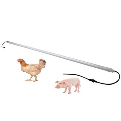 China Dimmer Poultry Poultry LED Light For Chicken Farm Broiler House Poultry House for sale