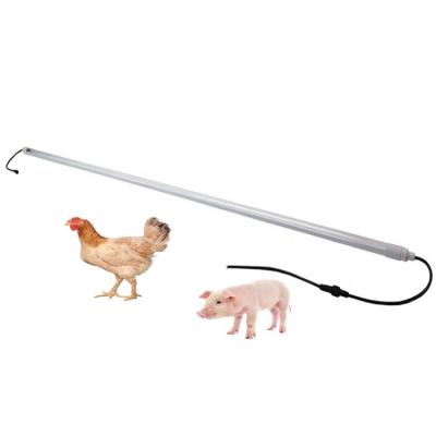 China Poultry livestock pig cow cast led poultry lighting dc48v to waterproof to breed poultry light tube for sale