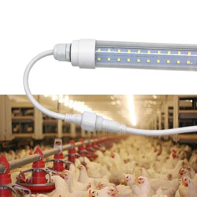 China IP 67 24v t5 t6 t8 6w 9w poultry led poultry tube light for poultry house farm light for sale