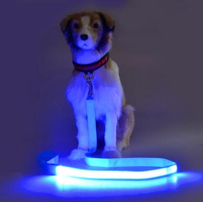 China Newcomer Stocked Light Up Reflective Rechargeable Led Rope Lighting Led Nylon Pet Dog Training Leash Led Dog Leash With Led for sale