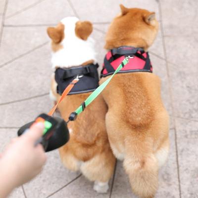 China Stocked A Retractable Double Headed Dog Leash And Rubber Dog Collar Leash Set Heavy Duty Dog Leash for sale