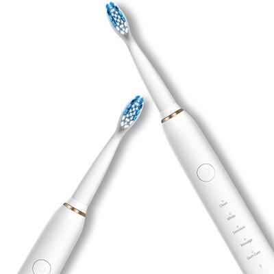 China Multi-speed Adjustment USB Toothbrush 6 Electric Brush Heads Sonic Electric Toothbrush for sale