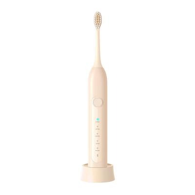 China Multi-speed Adjustment Whitening Electric Toothbrush Sonic Rotation Stiffens Custom Electric Toothbrush for sale