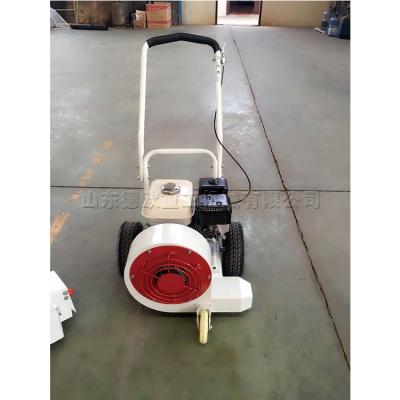 China 5.5 Hp Portable Road Dust Cleaning Machine Road Blower Price For Hotels Good Prices On Sale for sale