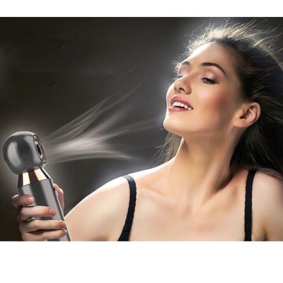 China Tavel Portable Wholesale Portable Professional PC Material 800W Hair Dryer With Heat Protection for sale