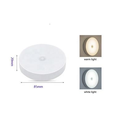 China Modern Non-disposable Led Cabinet Light Usb Led Night Motion Sensor Radio Led Night Lights for sale