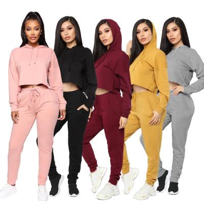 China Breathable Velvet Top Two Piece Set Hoodie Crop Women's Sweat Suits for sale