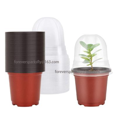 China Light Long Term Usd Flower Seedling Succulent Nursery Pots With Humidity Domes Drain Holesplastic Plant Transplant Seed Starting Pot for sale