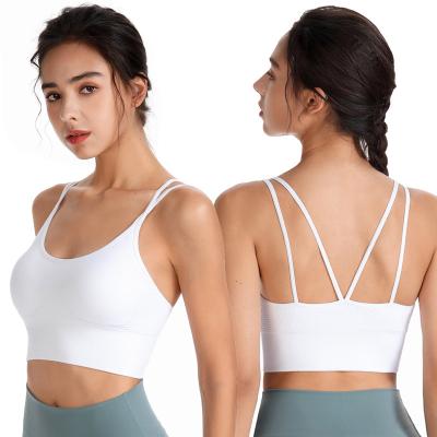 China QUICK DRY Sports Bra Wireless Padded Cumba Support Yoga Bras Gym Running Workout for sale