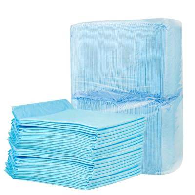 China Wholesale Reusable Stocked Modern Indoor Absorbent Absorbent Disposable For Training Super Pee Rug Pads Small Puppy Silk Pet Dog for sale