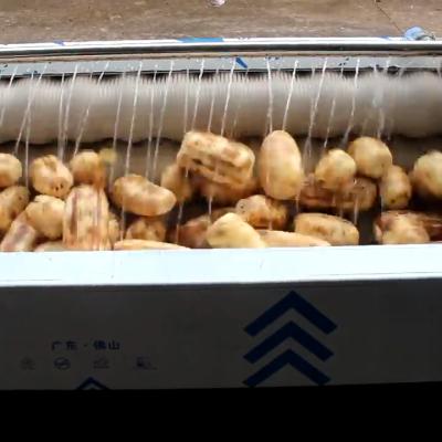 Китай Roll Fruit Vegetable Processing Machinery Carrot Potato Washing Cleaning Peeling продается