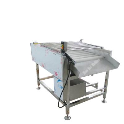 Κίνα Zhaohui Stainless Steel Vegetable Fruit Washing Machine Potato Apple Orange Mango Fruit Cleaning προς πώληση