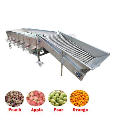 中国 Stainless Steel Fruit Sorting Machine For Sorting Apple Lemon Potato Oranges 販売のため