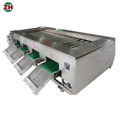 Chine Roller-Type Fruit Sorting Machine Onion Vegetable Potato Longan Sorting à vendre