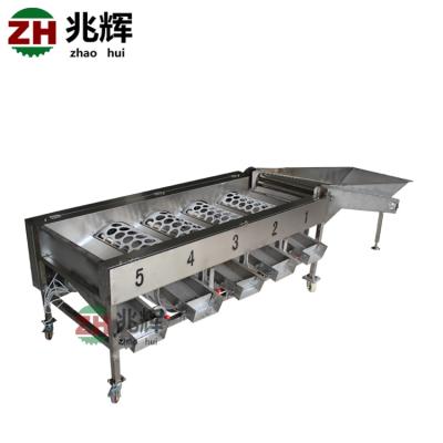 Chine Zhaohui Stainless Steel Fruit Sorting Machine ZH-FX4 500KG 0.75KW 4160*1010*930MM à vendre