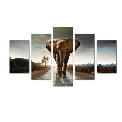 China Qiping 5 Paintings Elephant Animal Pictures Wall Art Canvas Painting High Resolution Printing Abstract Print 5 For Home Decor for sale