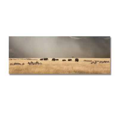 China Large Size African Animal Painting Landscape Waterproof+ECO-Friendly Grassland Canvas Poster Modern Wall Art For Decor for sale