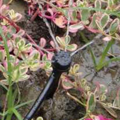 China Plastic Irrigation System pp Pressure Compensating 360 Degree Adjustable Drip Irrigation Emitters for sale