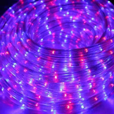 China 2021 factory direct sales of new holiday lights for a variety of decorative LED rope lights for sale