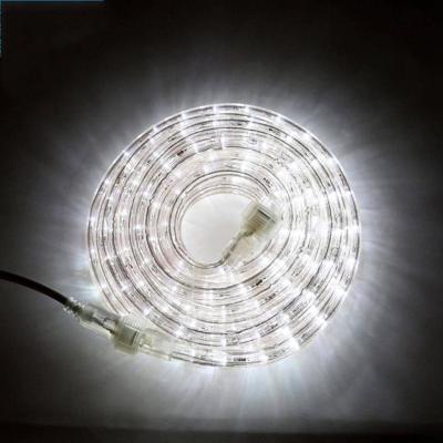 China 220V IP65 waterproof CE ROHS PSE approved led Rope light for outdoor decoration for sale