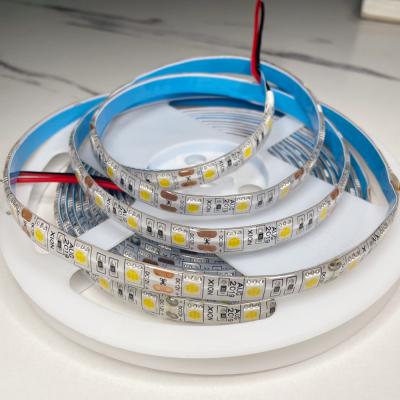 China customized 12V double side SMD5050 IP44 waterproof indoor outdoor decoration led strip light for sale