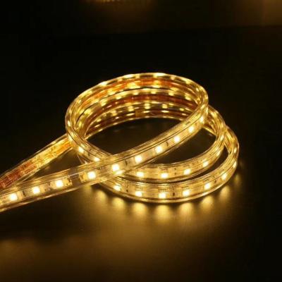 China good quality IP65 waterproof SMD2853 SMD5050 led strip light for Christmas festival decoration for sale