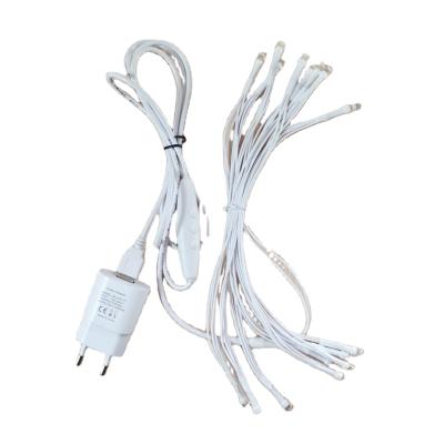 China high quality custom dimmer with remote controller warm white LED string light for sale