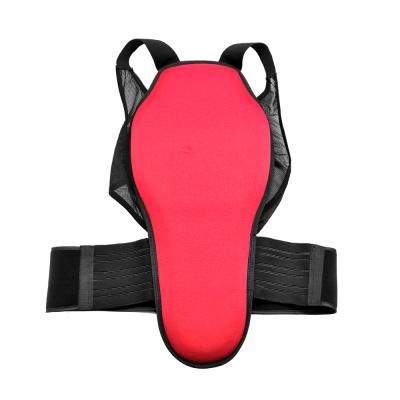 China Back Support Belts Cheap Customized CE Certificated EVA Back Ski Protector Snow for sale