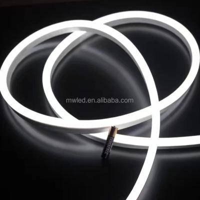 China 2017 new products decorative lighting hot alibaba express china led neon light led sliver 220 for sale