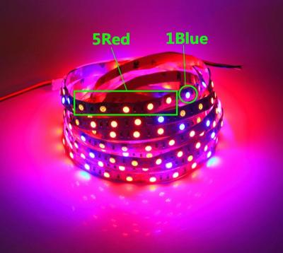 China FLOWER Diy Led Factory Full Spectrum Led Grow Light Strips for sale