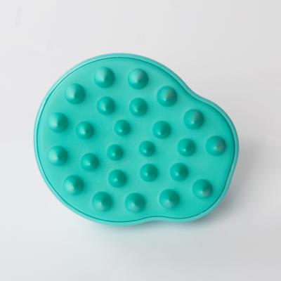 China Waterproof Custom Shampoo Hair Brush Shampoo Hair Brush Scalp Brush for sale