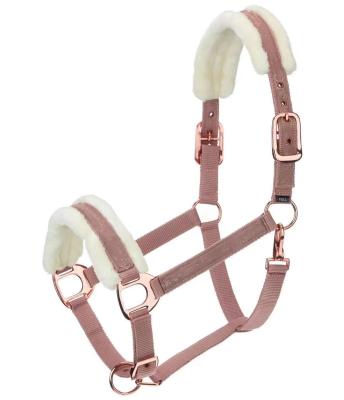 China Soft Comfortable Equestrian Products Adjustable Head Collar Padded Horse Halters Horse Bridle Custom Sizes for sale