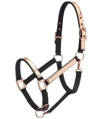 China Horse Equestrian Halter Head Collar Fashion Horse Custom Sizes for sale