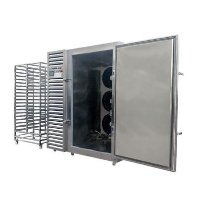 China Industrial Stainless Steel 1100 L Quick Freezing Cabinet Blast Freezer French Fries Frozen Potatoes Freezer Hotels Machine for sale