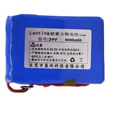 China Long Current Cycle Life Standard 4.5a Long Charging Cycle Life 24v 4000mah Lipo Battery Pack for sale